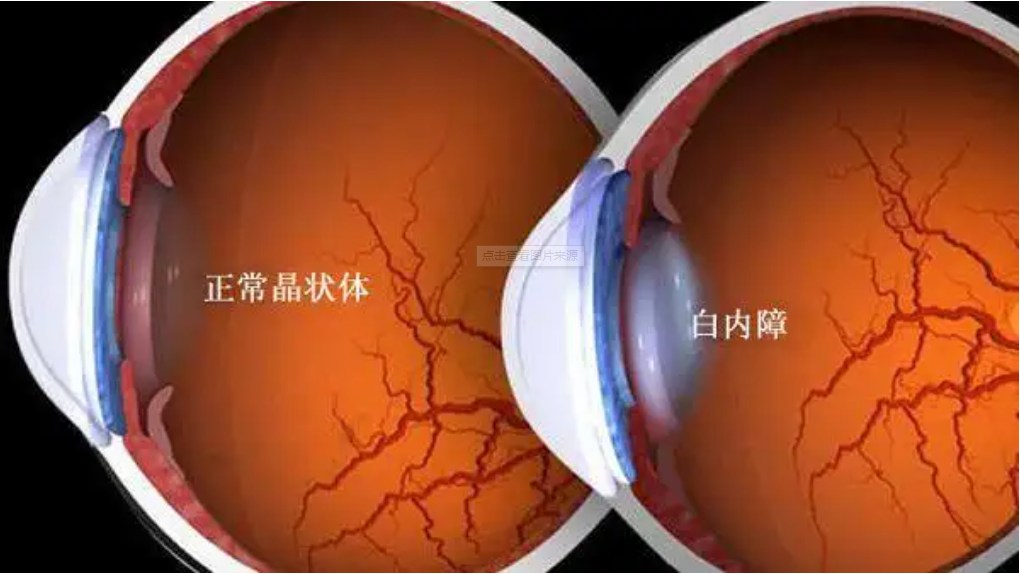 微信截图_20220318165359.png