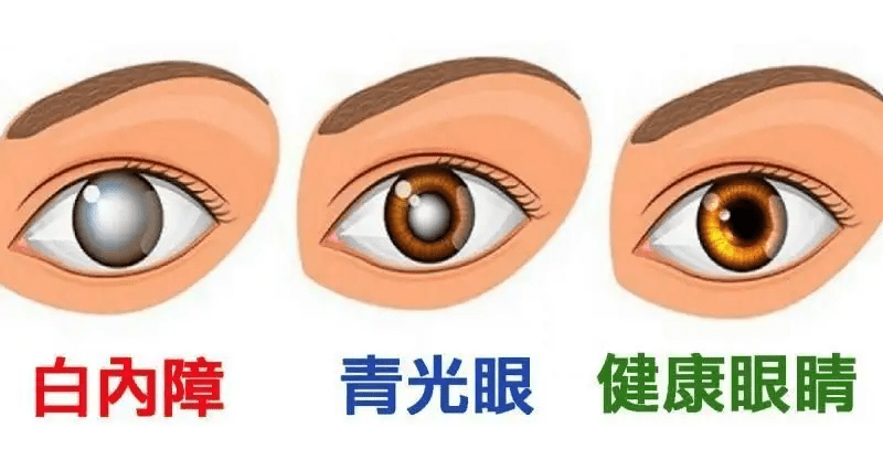 c6cf43a0e7ecec44c391acd978524827.png