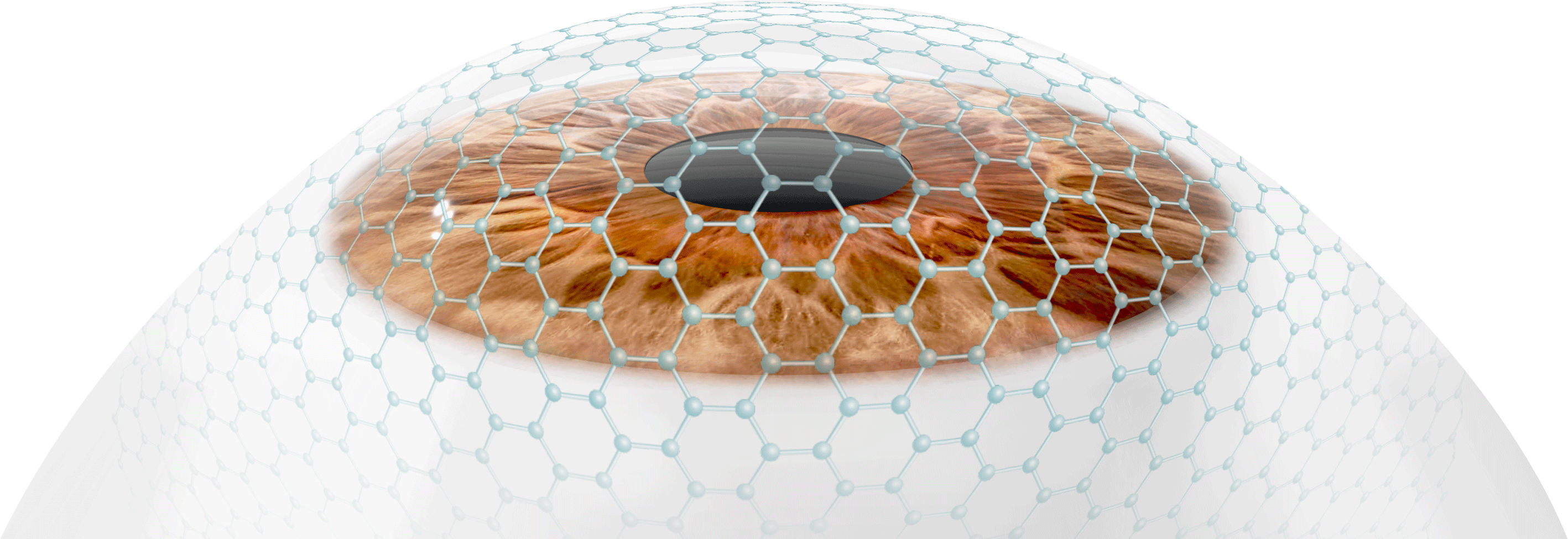 b18478be9eb2b538a1c2f97094f916c5.png