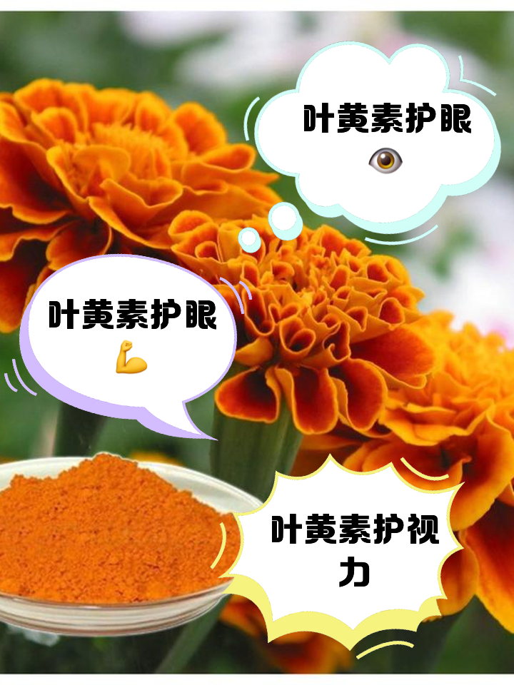 千万别踩雷！五花八门的叶黄素怎么选？真的这么神奇吗？ 